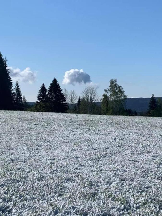 Chata Sedmidomi Lučany nad Nisou Zewnętrze zdjęcie